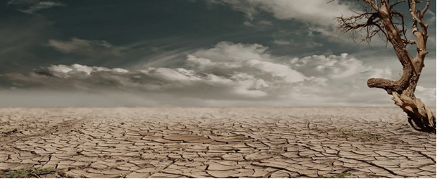 Jornada Emergencia climática y migraciones