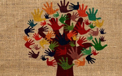 Premios de voluntariado convocados por la Universidad Complutense de Madrid