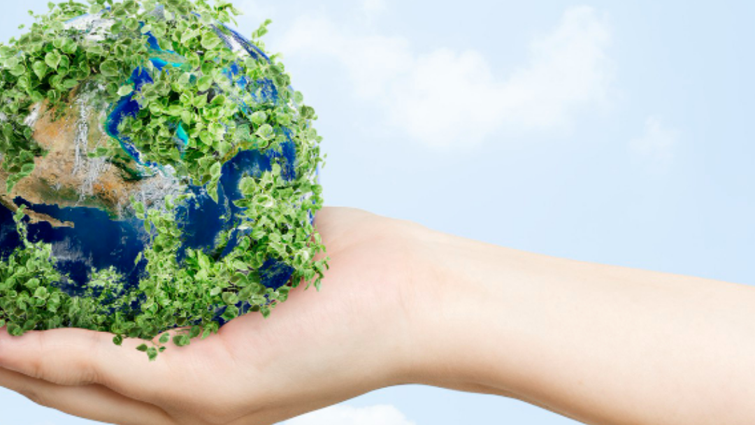 ¿SABÍAS QUE…? EL COSTE MEDIOAMBIENTAL DE LAS CRIPTOMONEDAS