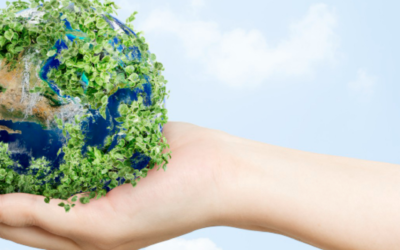 ¿SABÍAS QUE…? EL COSTE MEDIOAMBIENTAL DE LAS CRIPTOMONEDAS